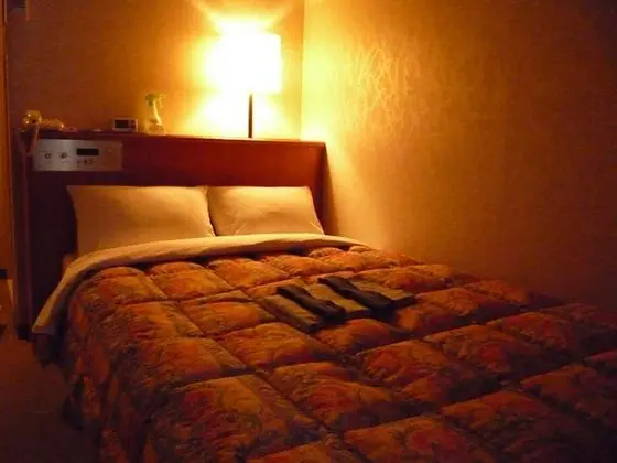 Standard Tek Büyük Yataklı Oda, 1 Tek Kişilik XL Yatak, Sigara İçilebilir