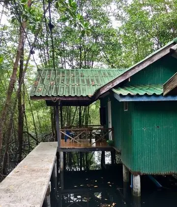 Mangrove Hut