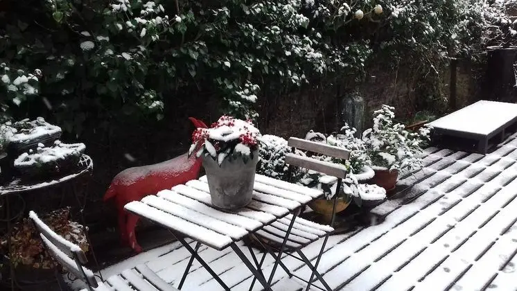 Deluxe Tek Büyük Yataklı Oda, Bahçe Manzaralı (BIARRITZ)