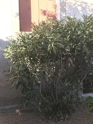 Classic İki Ayrı Yataklı Oda (Jade)