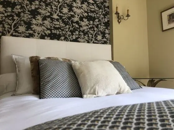 Deluxe Tek Büyük veya İki Ayrı Yataklı Oda (Dumas)