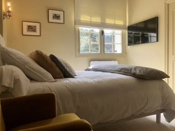 Deluxe Tek Büyük veya İki Ayrı Yataklı Oda (Dumas)