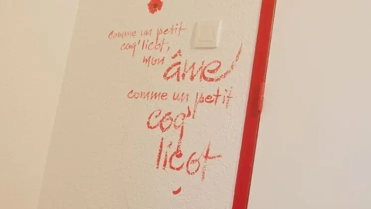 Standard Tek Büyük veya İki Ayrı Yataklı Oda, Sigara İçilmez, Özel Banyo