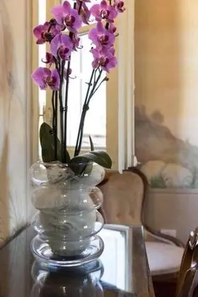 Economy Tek Büyük Yataklı Oda