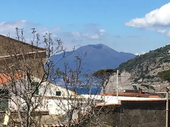 Apart Daire, Bahçe Manzaralı