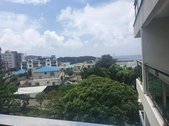Family İki Ayrı Yataklı Oda, Şehir Manzaralı