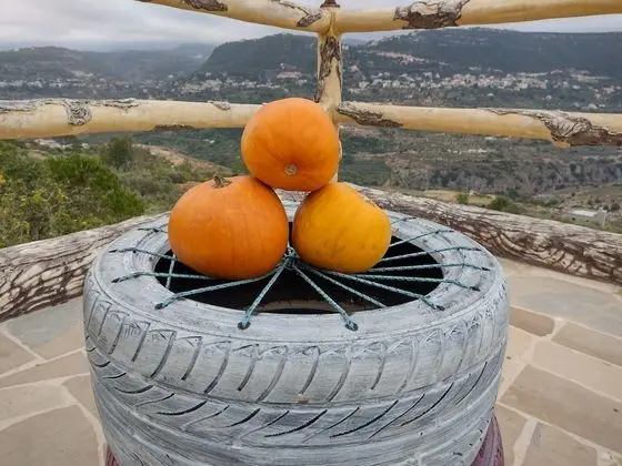 Ev, 1 Büyük (Queen) Boy Yatak ve Çekyat