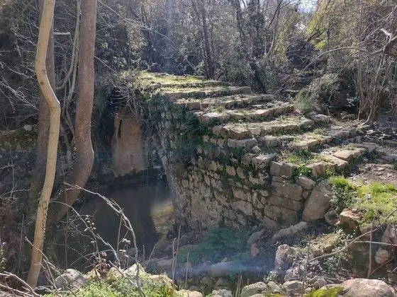 Ev, 1 Büyük (Queen) Boy Yatak ve Çekyat