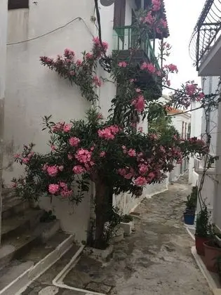 Ev, 2 Yatak Odası, Teras