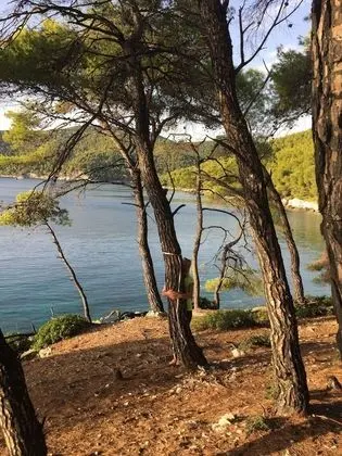 Ev, 2 Yatak Odası, Teras