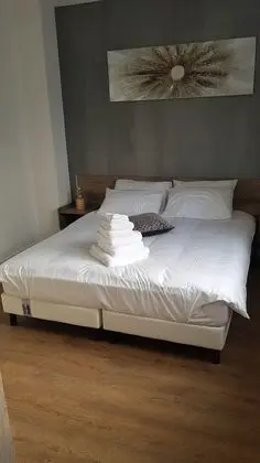 Deluxe Süit, 1 Büyük (Queen) Boy Yatak ve Çekyat, Sigara İçilmez, Özel Banyo