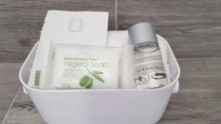 Deluxe Süit, 1 Büyük (Queen) Boy Yatak ve Çekyat, Sigara İçilmez, Özel Banyo