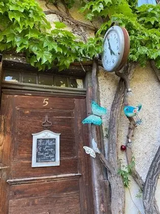 Superior Tek Büyük Yataklı Oda, Banyolu/Duşlu (MAZARIN)