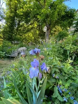 Superior Tek Büyük Yataklı Oda, Banyolu/Duşlu (MAZARIN)