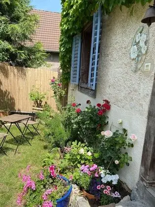 Tek Büyük Yataklı Oda, Banyolu/Duşlu (Jeanne de Ferrette)