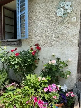 Tek Büyük Yataklı Oda, Banyolu/Duşlu (Jeanne de Ferrette)