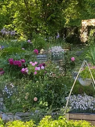 Tek Büyük Yataklı Oda, Banyolu/Duşlu (Jeanne de Ferrette)