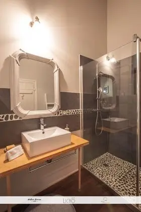 Comfort Tek Büyük Yataklı Oda, Banyolu/Duşlu, Park Manzaralı (Lotus)