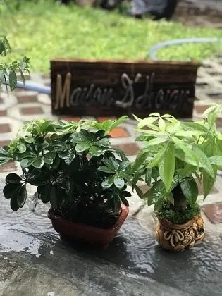 Superior İki Ayrı Yataklı Oda, Birden Çok Yatak, Bahçe Manzaralı
