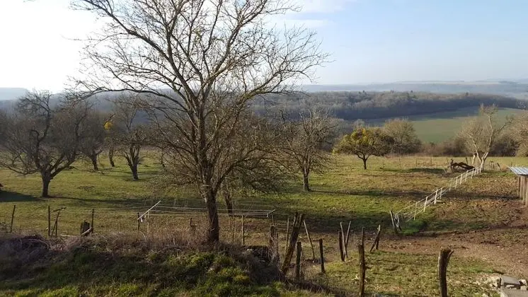 Standard Tek Büyük Yataklı Oda, Sigara İçilmez