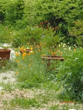 Tek Büyük Yataklı Oda, Bahçe Manzaralı