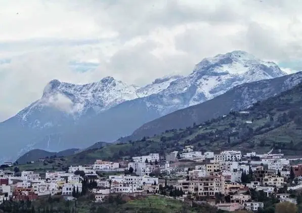 Oda, 5 Yatak Odası, Teras