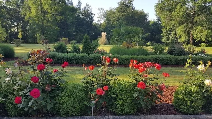 Deluxe Süit, Park Manzaralı