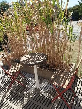 Kır Evi (Chez Lucien)