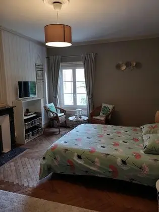 Classic Tek Büyük Yataklı Oda, Banyolu/Duşlu (Bambou)