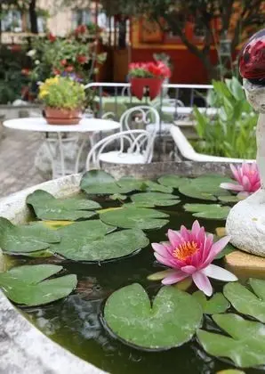 Tek Büyük Yataklı Oda, Banyolu/Duşlu (Roulotte)