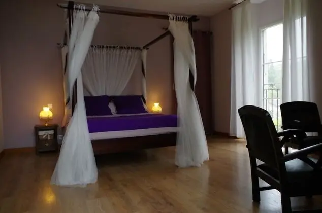 Standard Tek Büyük Yataklı Oda (Violette)