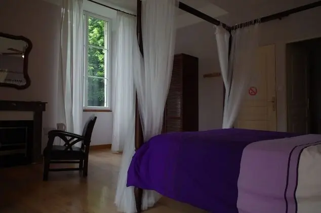 Standard Tek Büyük Yataklı Oda (Violette)