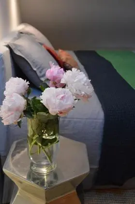 Design Kır Evi, Banyolu/Duşlu