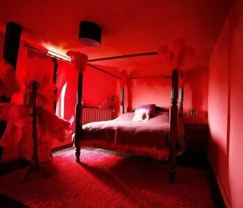 Tek Büyük Yataklı Oda (Moulin Rouge)