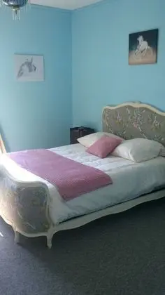 Classic Tek Büyük Yataklı Oda, Bahçe Manzaralı (Blue)