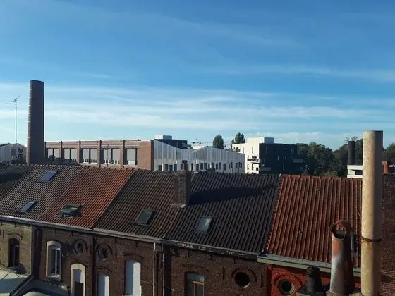 Junior Süit