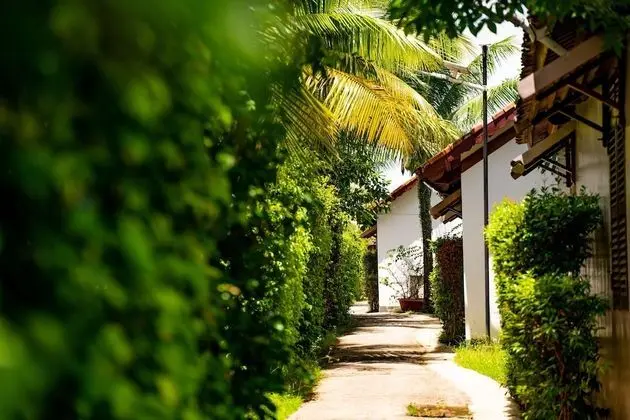 Bungalow Garden View