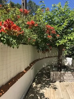 Tek Büyük Yataklı Oda (Tropicale)