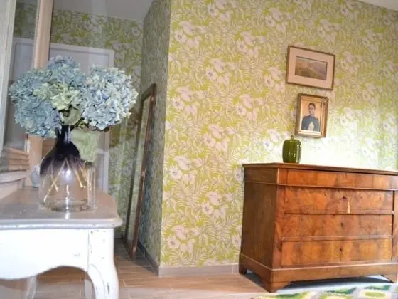 Comfort Tek Büyük Yataklı Oda, Banyolu/Duşlu, Bahçe Manzaralı (Basalte)