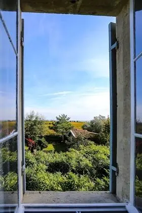 Luxury Tek Büyük Yataklı Oda, Banyolu/Duşlu, Üzüm Asması Manzaralı (Château Montrose)