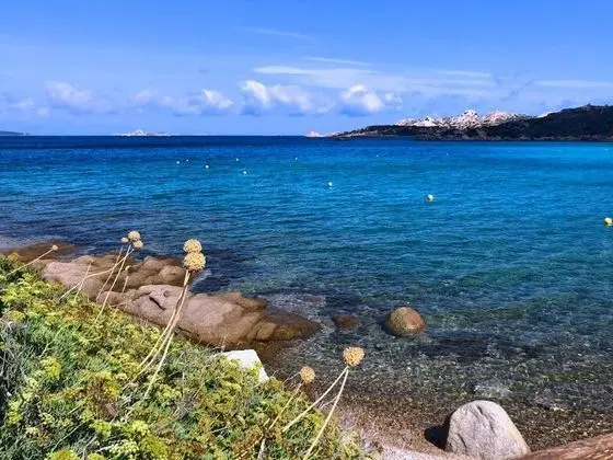 Villa, Denize Sıfır
