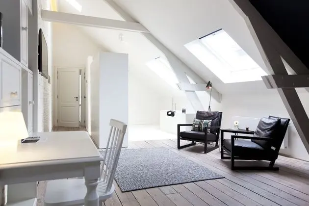 Çatı Katı (Loft)