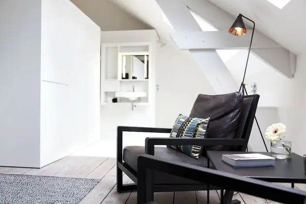 Çatı Katı (Loft)