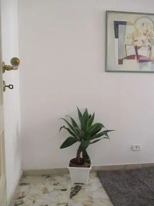 Süit, Bağlantılı Odalar