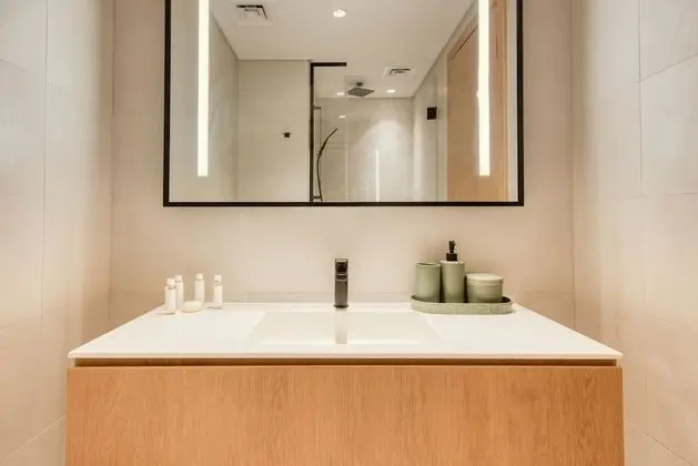 Deluxe Apart Daire, 1 Yatak Odası, Sigara İçilmez (717)