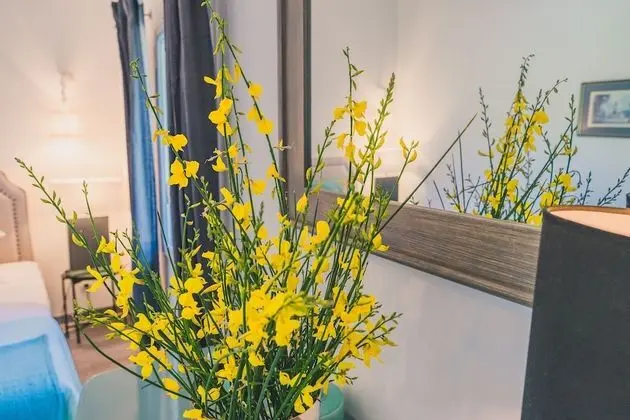 Tek Büyük Yataklı Oda (Grisée)