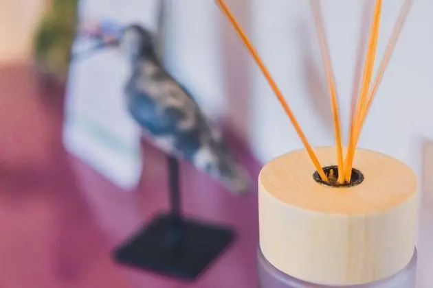 Tek Büyük Yataklı Oda (Lilas)