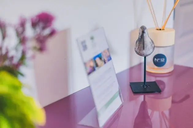 Tek Büyük Yataklı Oda (Lilas)