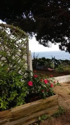 Apart Daire, 1 Yatak Odası, Engellilere Uygun, Sigara İçilebilir