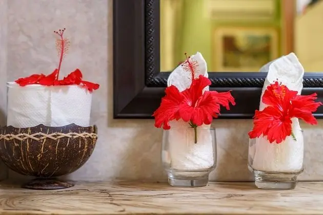 Cinnamon Mini Suite